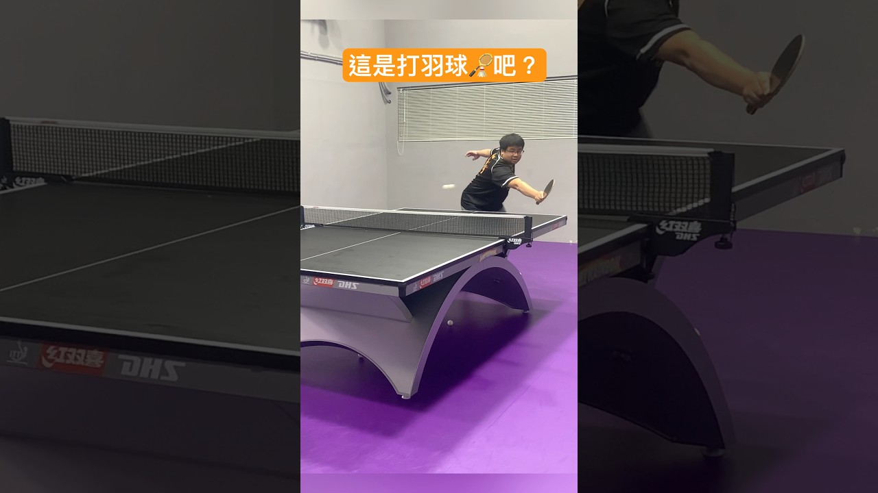 哈里